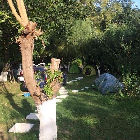 Camping In Clisura Dunarii Eselnita Exterior foto