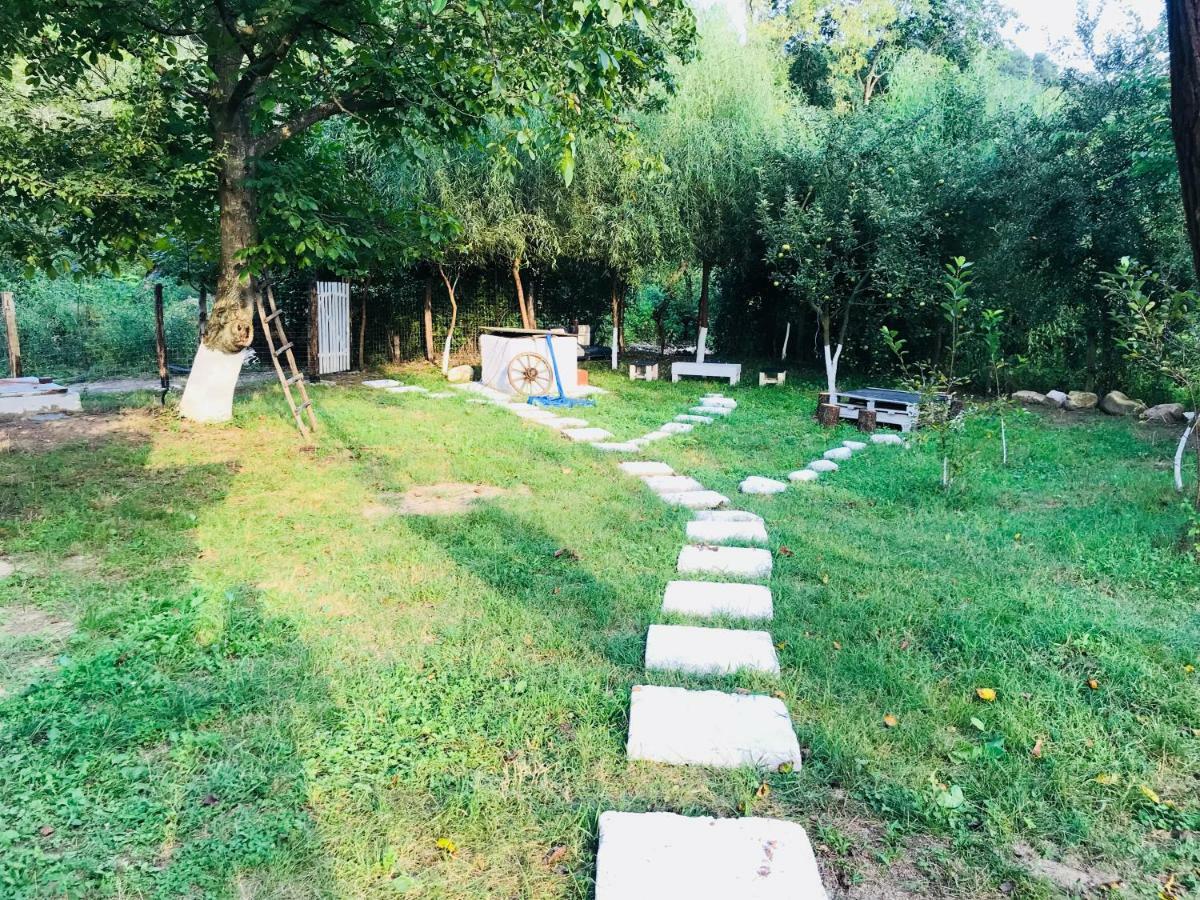 Camping In Clisura Dunarii Eselnita Exterior foto