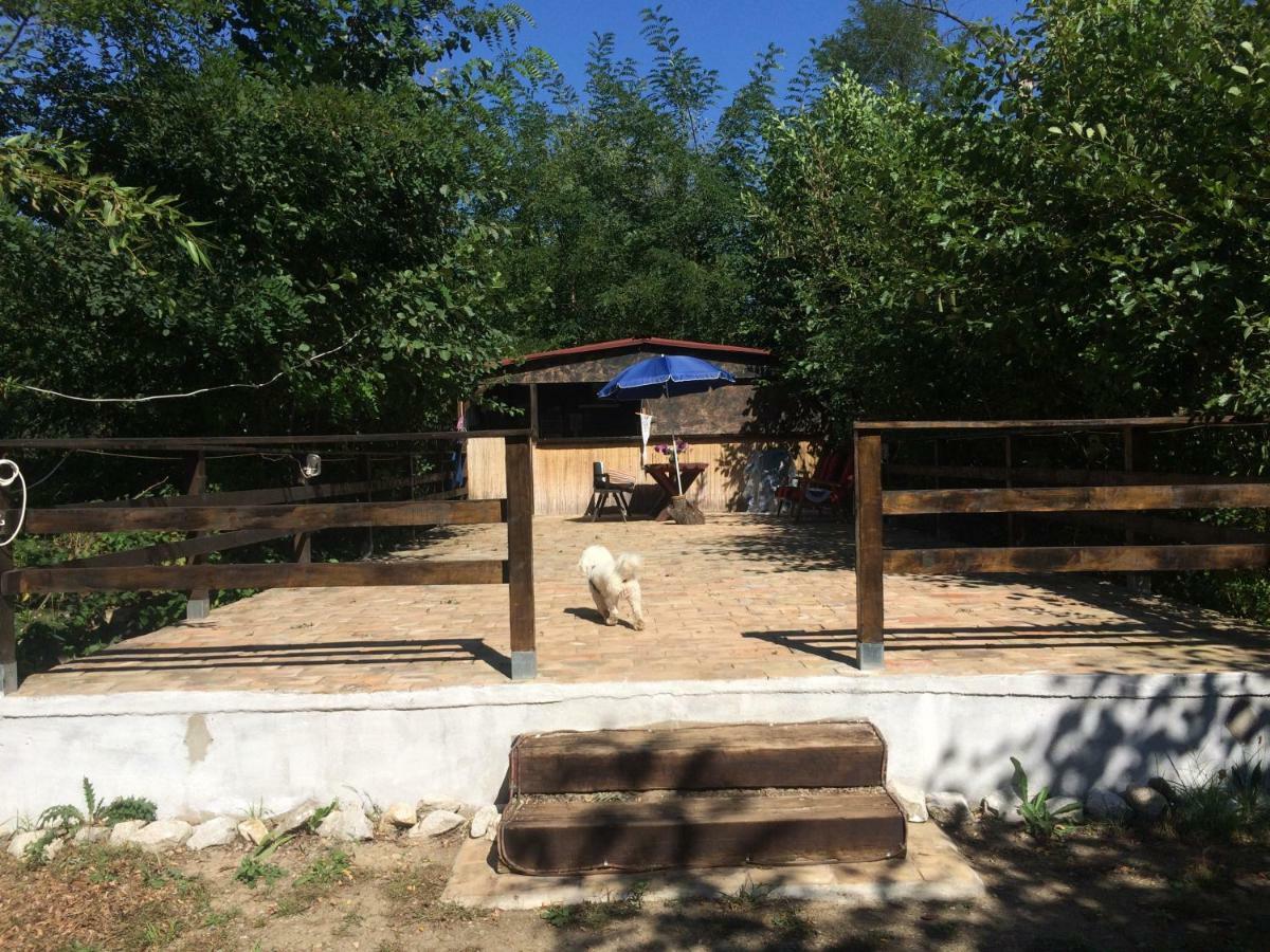 Camping In Clisura Dunarii Eselnita Exterior foto